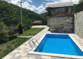 Comfortable holiday villa DILIJAN